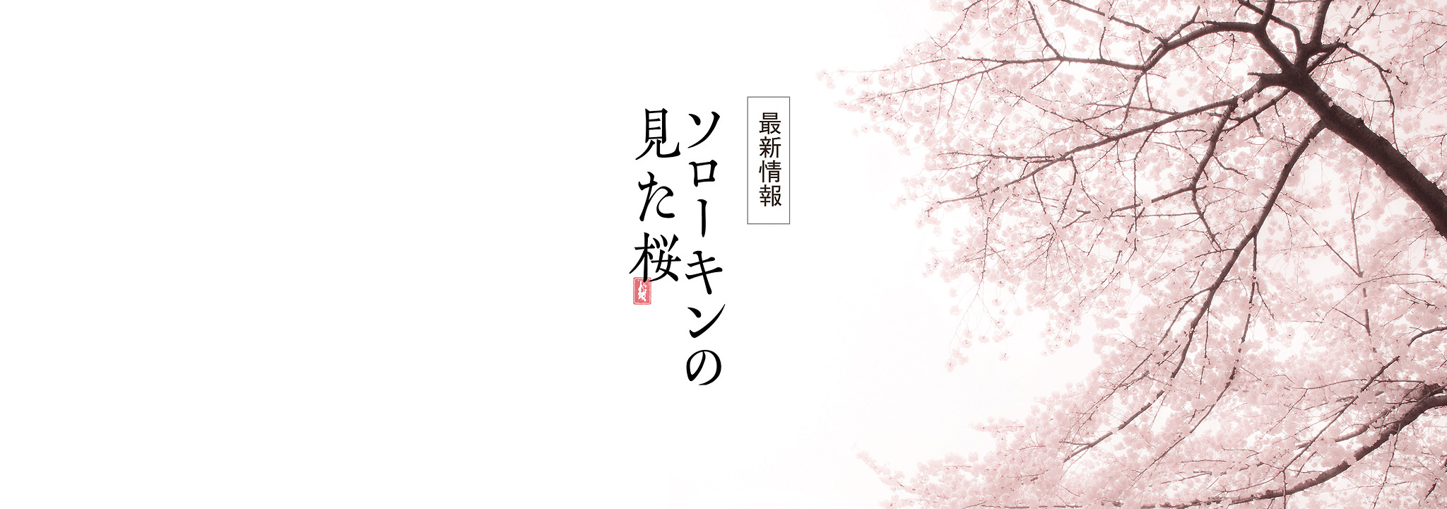 映画『ソローキンの見た桜』公式サイト原題”Вплену у сакуры”「桜にとらわれて」